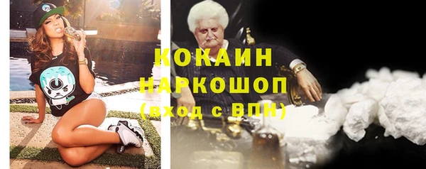 бошки Бородино