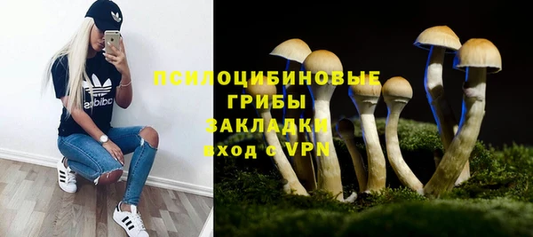 бошки Бородино