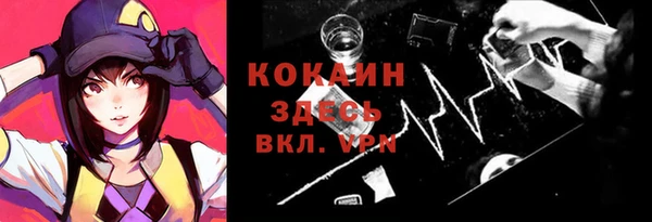 крисы Бронницы
