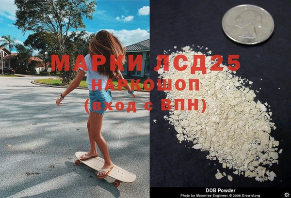 крисы Бронницы