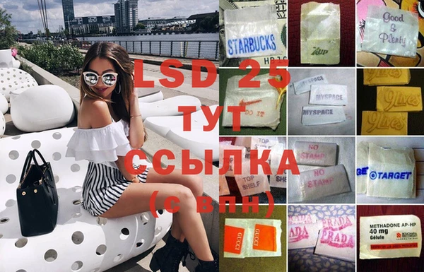 бошки Бородино
