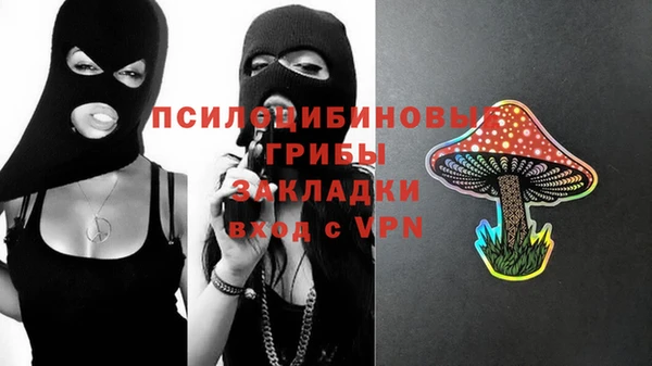 гашик Богородицк