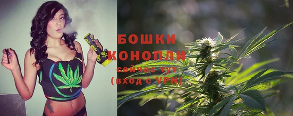 крисы Бронницы