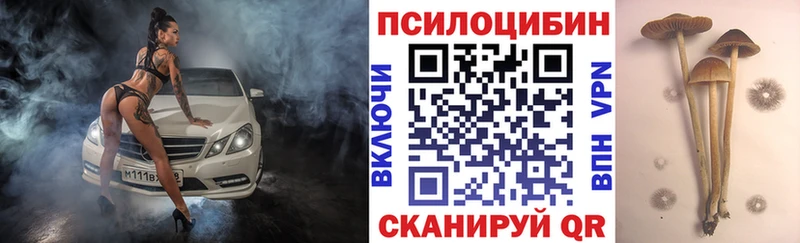 это как зайти hydra Балашов Галлюциногенные грибы Psilocybe
