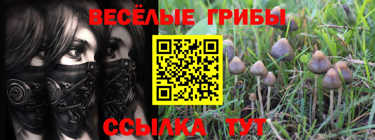  COCAIN Балашов
