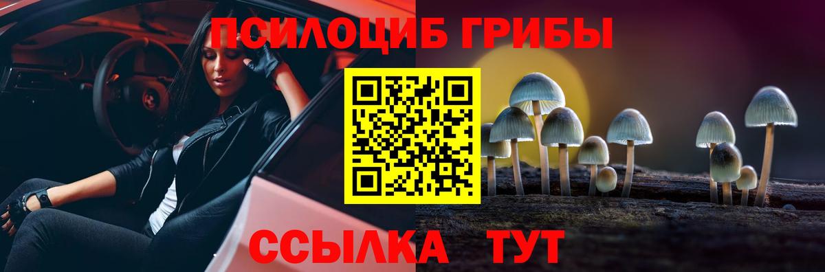 Балашов  Галлюциногенные грибы Psilocybine cubensis  Галлюциногенные грибы Cubensis  Вход с VPN 